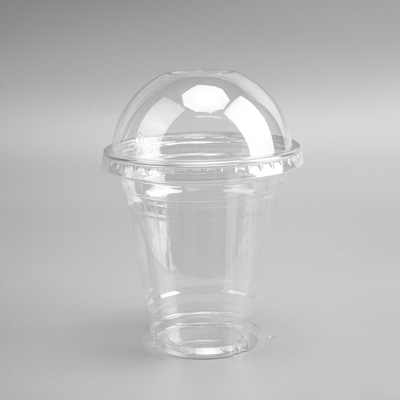 20oz Disposable PET Succus Cup